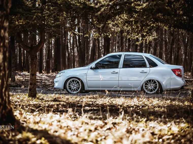 Гранта стенс