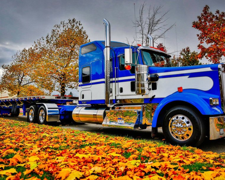 Красочный грузовик