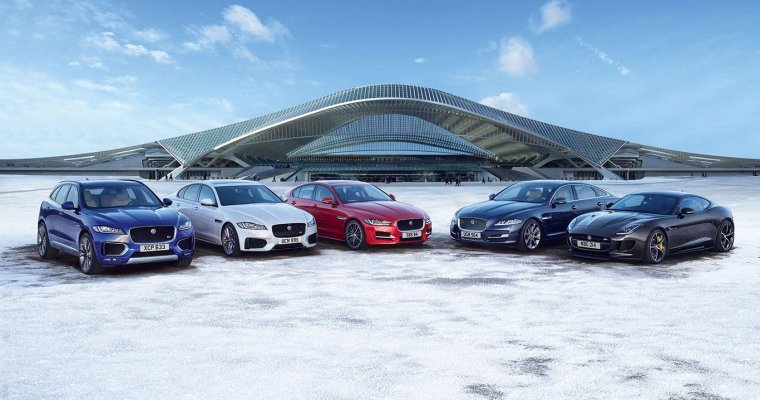 Много автомобилей Ягуар