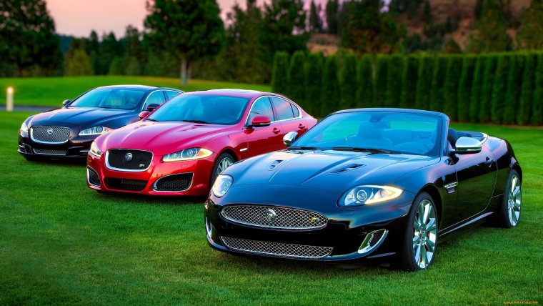 Ягуар машина