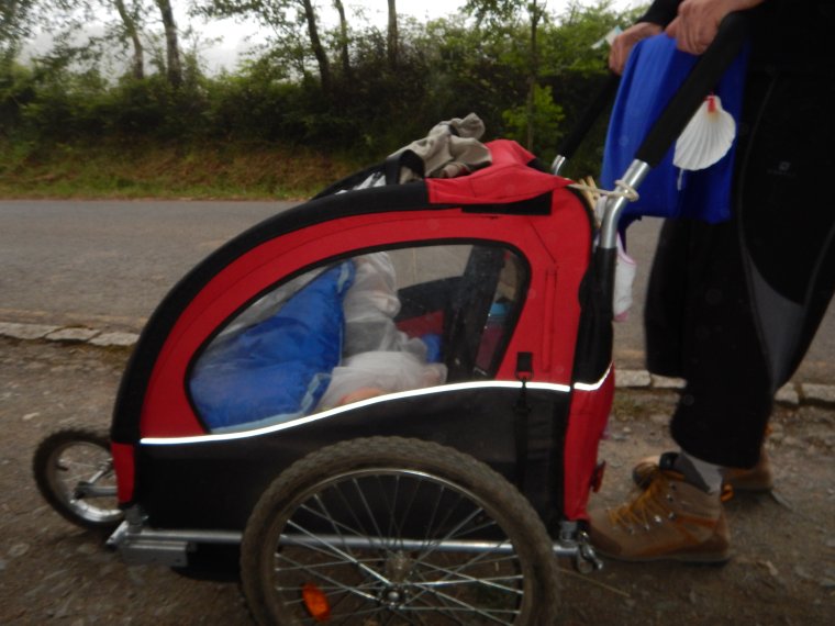 Самые необычные детские коляски