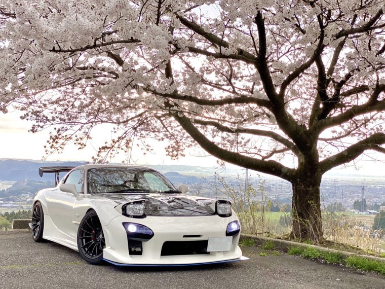 Mazda rx7 Sakura