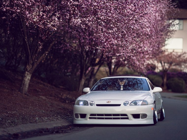 Обои Japan JDM май Сакураджима