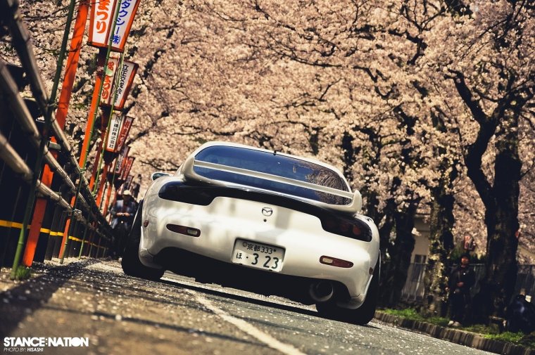 Японские машины на фоне Сакуры