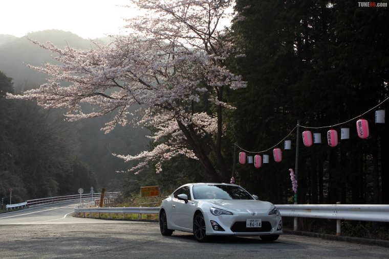 Автомобиль под сакурой