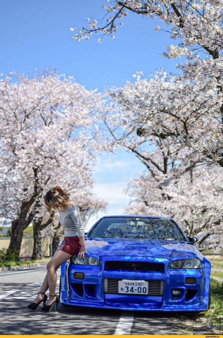 Рабочий стол машины Сакура