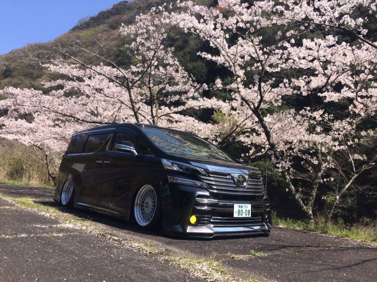 Живые обои машины фиолетовый