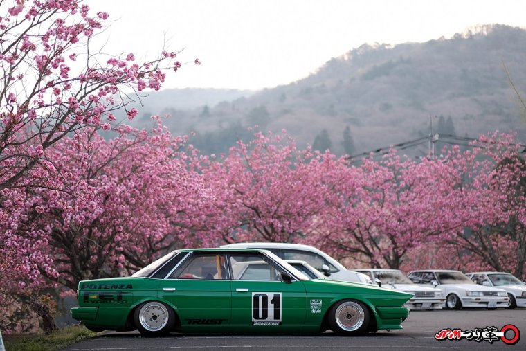 Сакура и машина