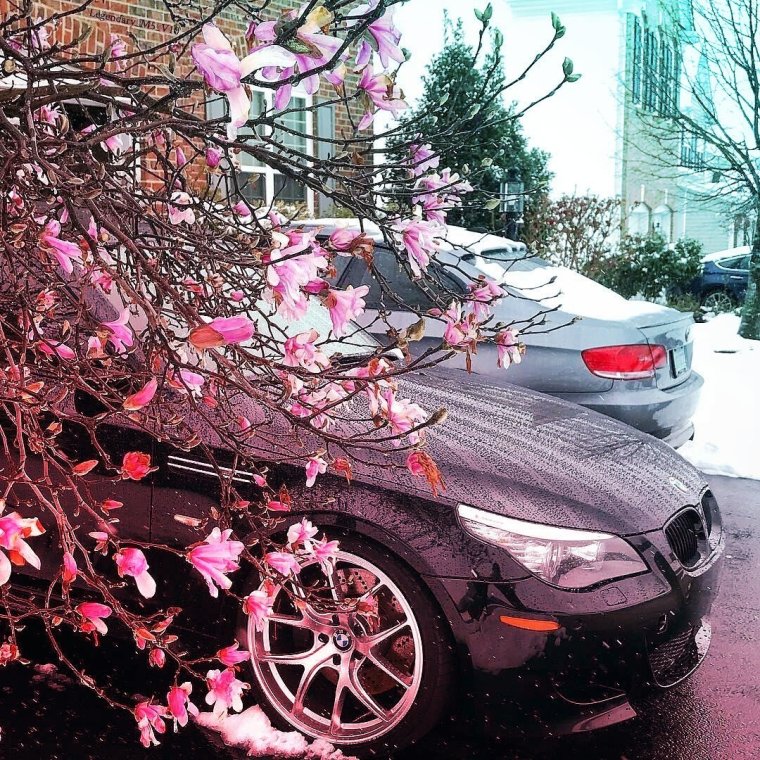 Нежно розовая машина