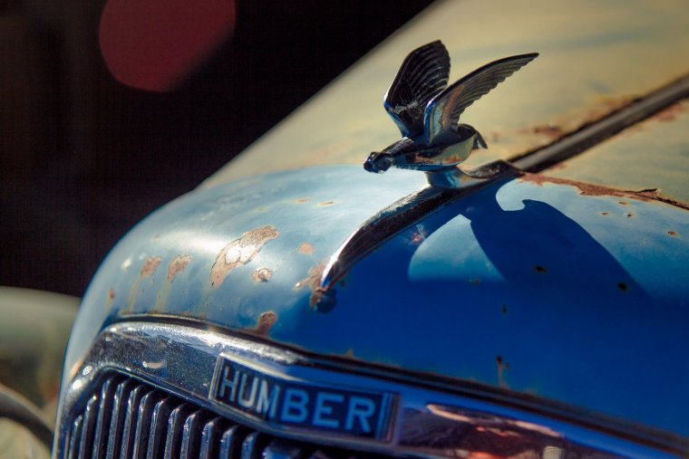 Орел на капоте автомобиля