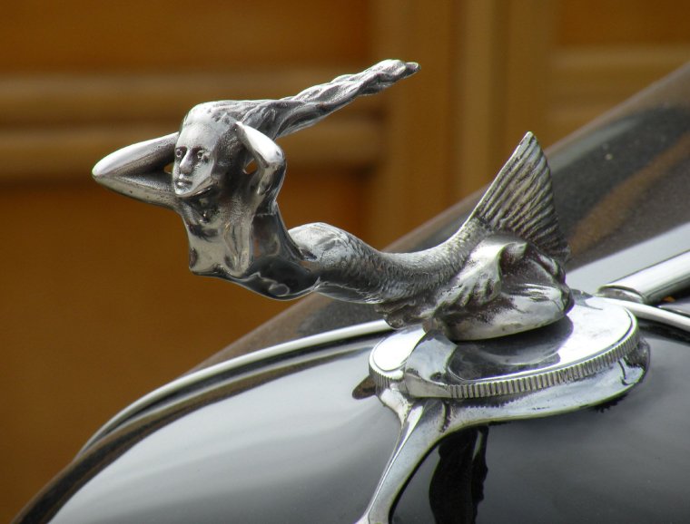 Значок на капот смешной