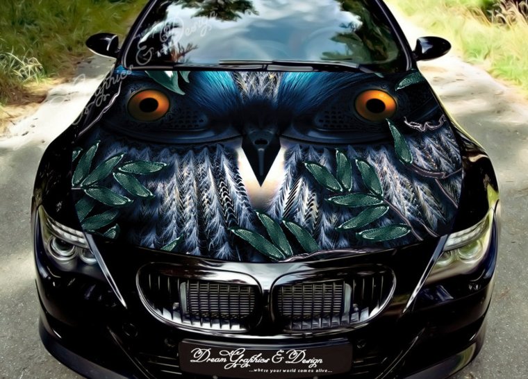 Аэрография на авто Сова