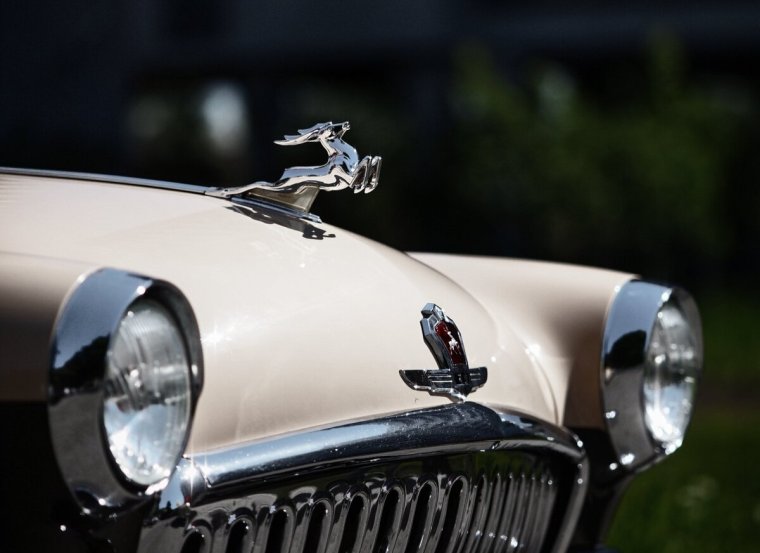 Волга ГАЗ 21 олень на капоте