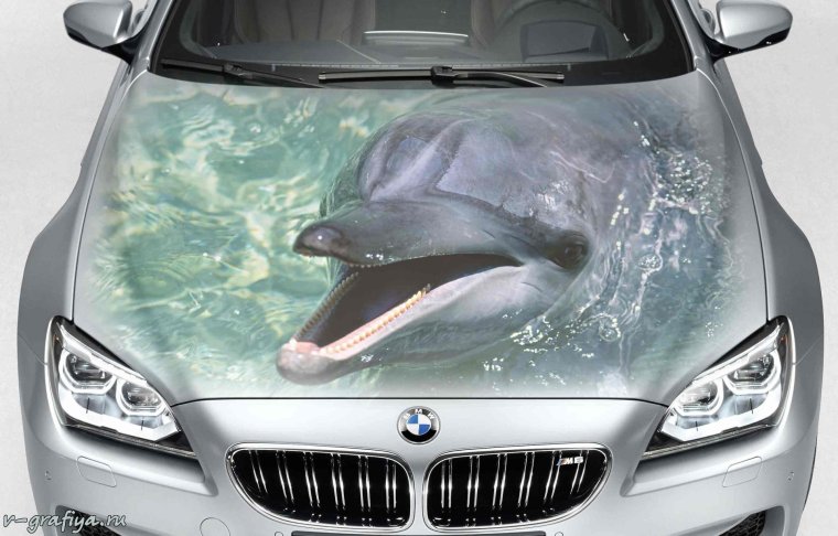 Винилография полупрозрачный