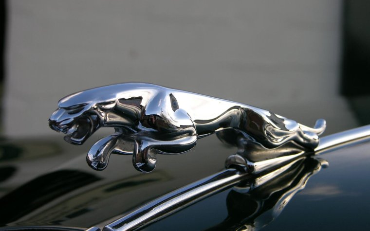 Ягуар на капоте