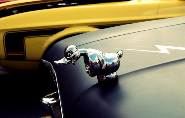 Утка в авто