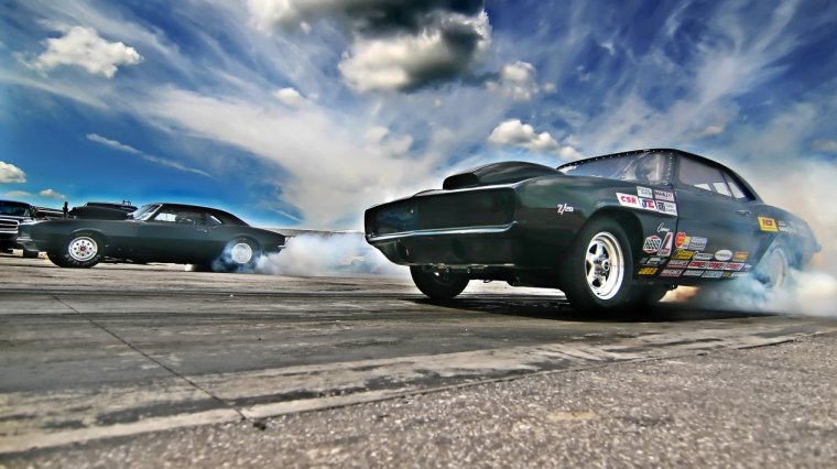 Додж роадкилл