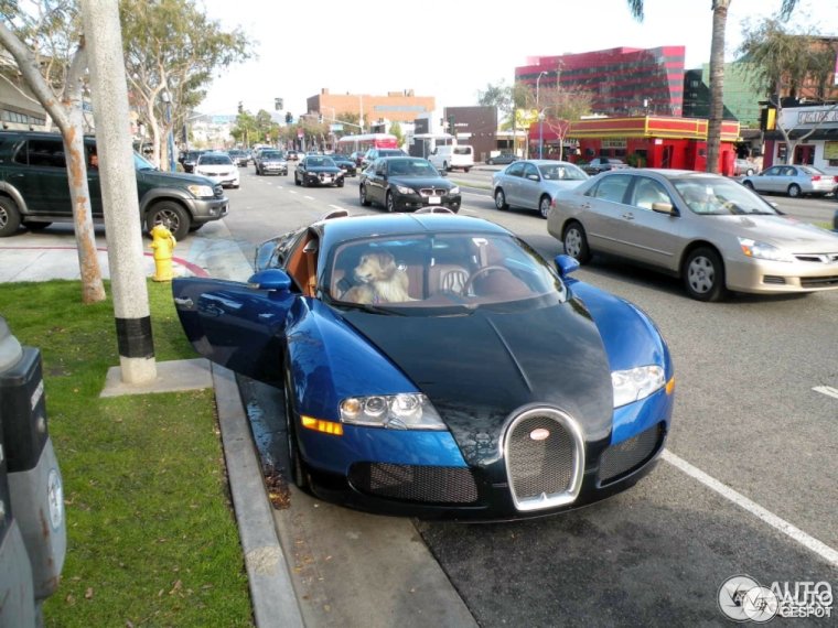 Bugatti Veyron Таджикистана