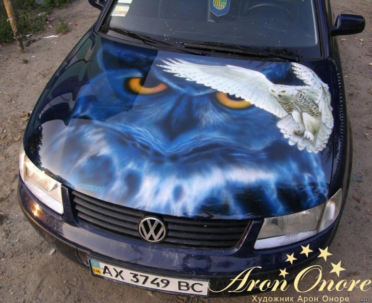 Аэрография Касатка на авто