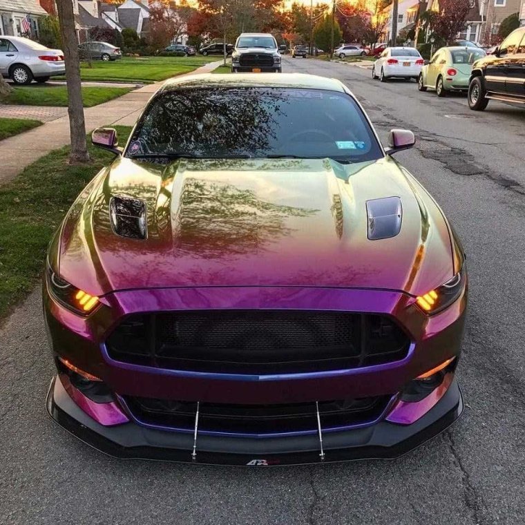 Машины необычных цветов