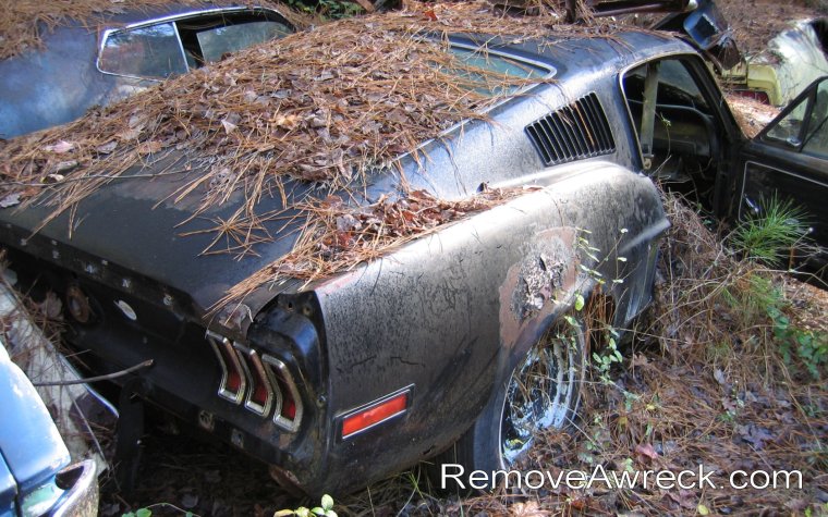 Гниющая машина