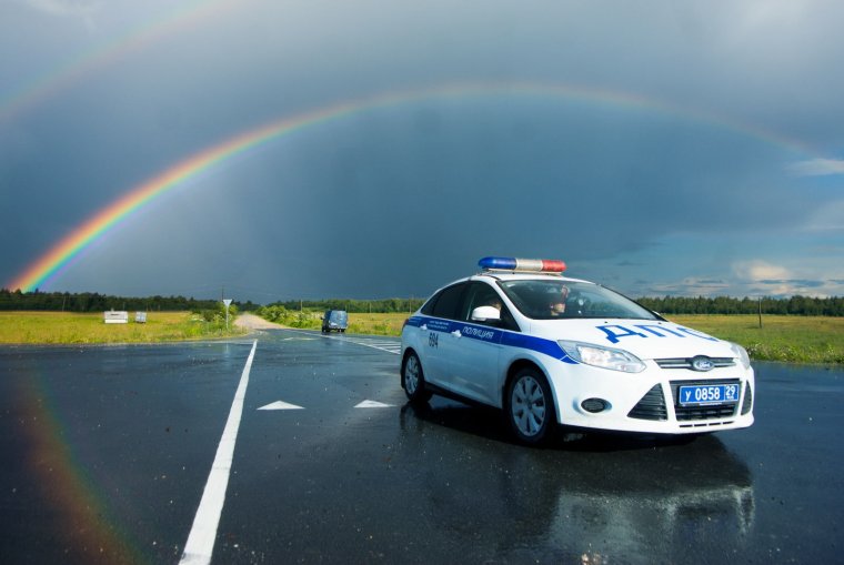 Полицейские миы на дороге