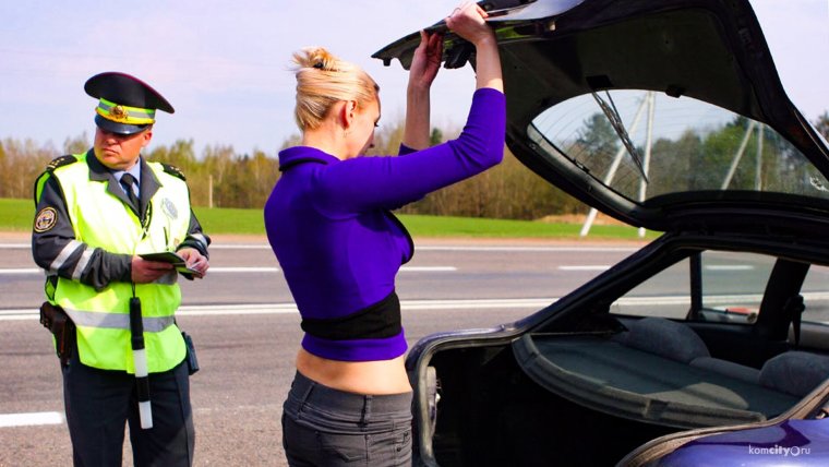 Инспектор ГИБДД