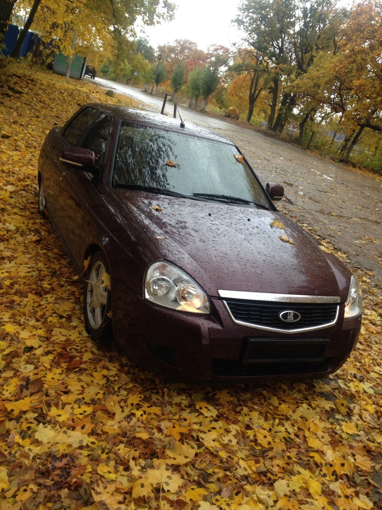 Белый металлик краска