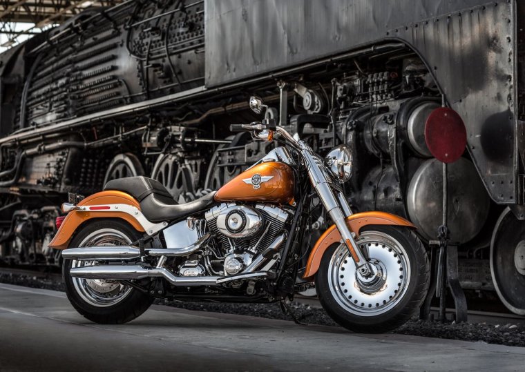 Мотоцикл Harley Davidson FLSTF fat boy 2012