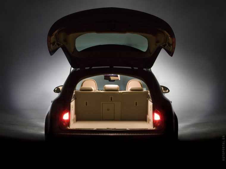 Опель Инсигния универсал открытый багажник