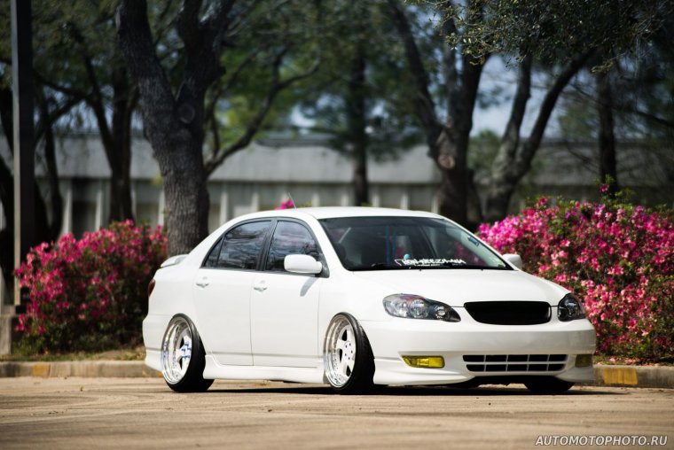 Toyota Corolla e120 stance заставка на рабочий