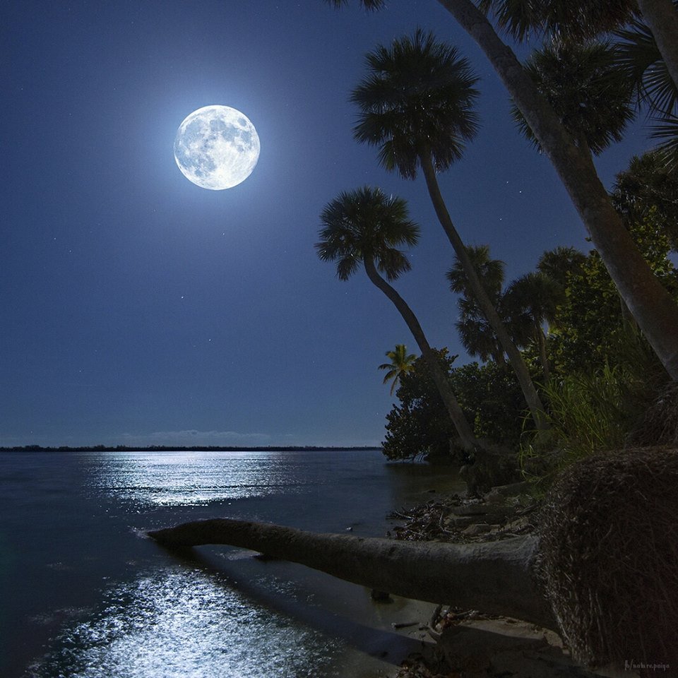 The moon is beautiful. Лунный пейзаж. Ночное море. Лунная ночь на море. Ночь в море.