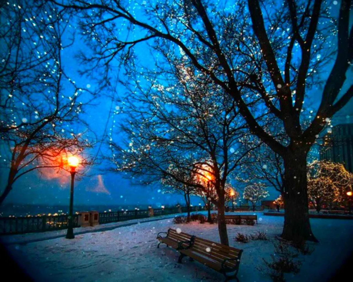 Вечером снежок. Зима в городе. Зимний парк ночью. Зимняя ночь в городе. Зима. К вечеру.