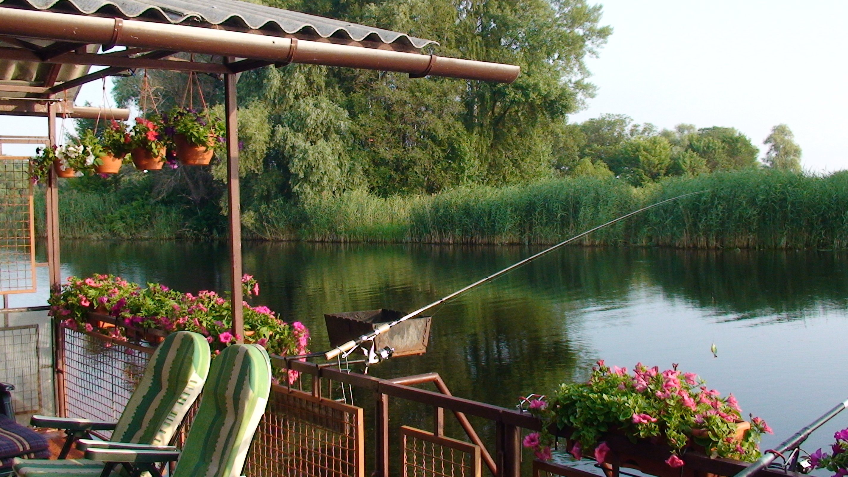 Рыболовный в озерах. Фазенда глухомань Карелия. Красивые места для рыбалки. Рыбалка летом. Рыбалка на озере.