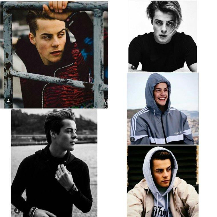 Герман Томмераас коллаж