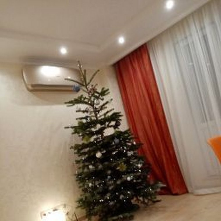 Дилнаваз Шейх