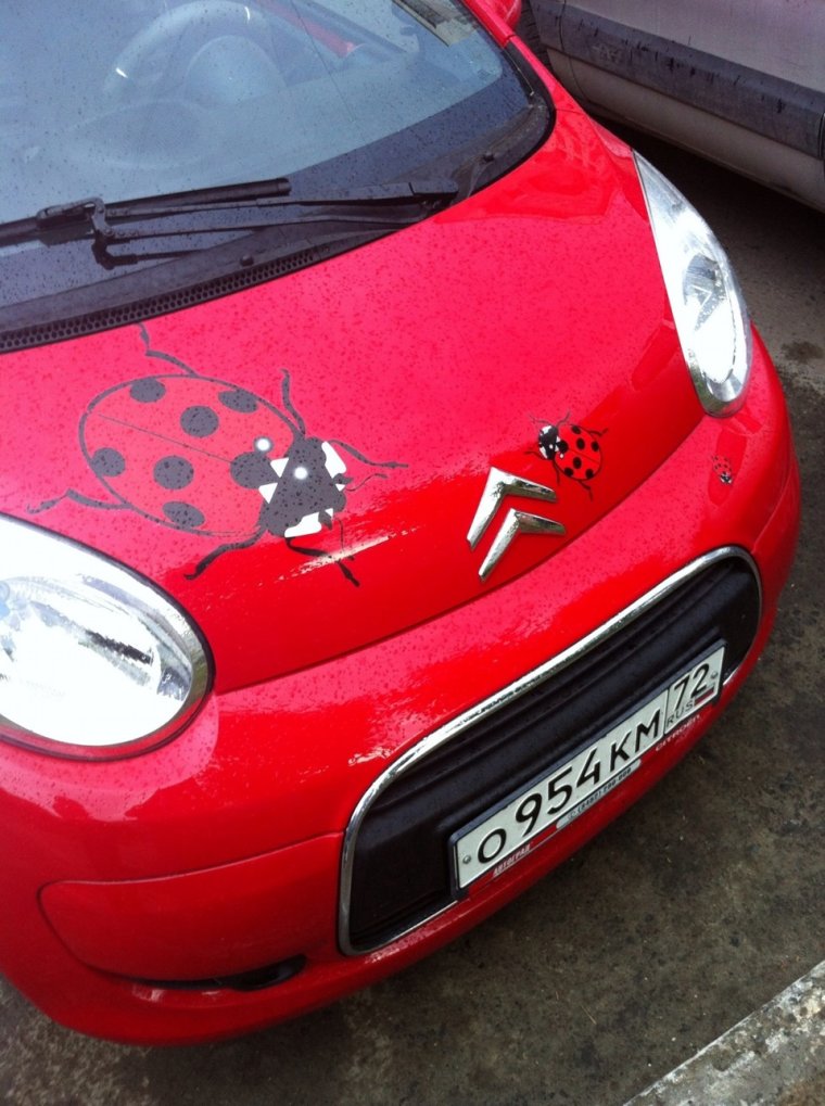 Машина цвет Божья коровка