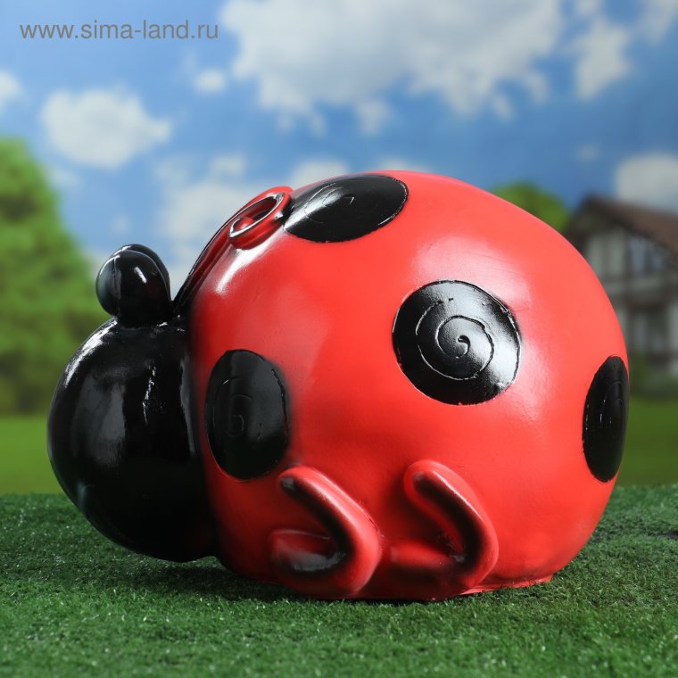 Божья коровка Арлекино