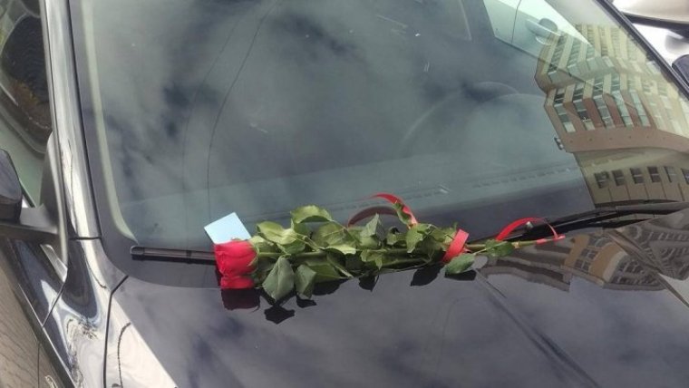 Цветы под дворником авто