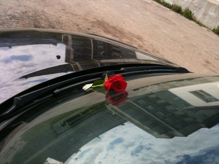 Цветы под дворником