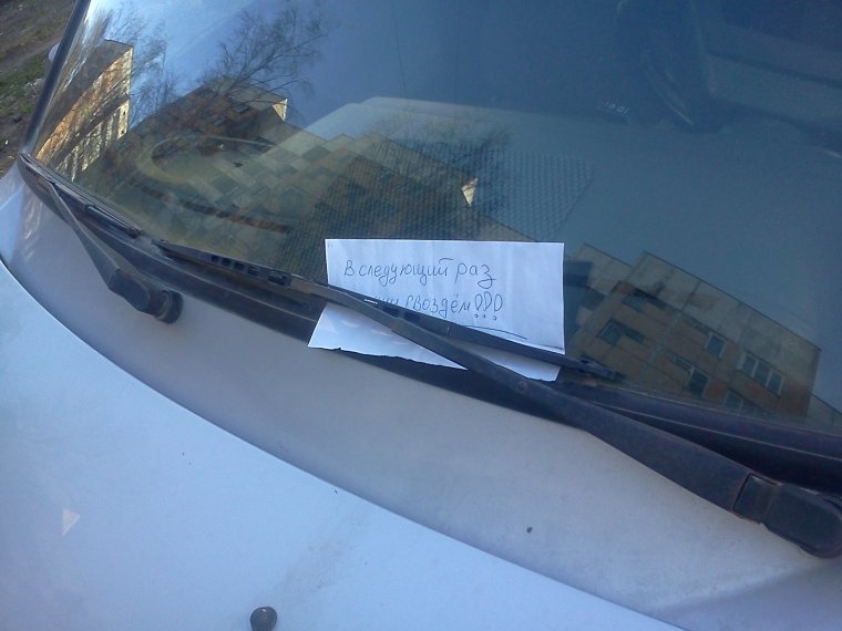 Цветы под дворником машины