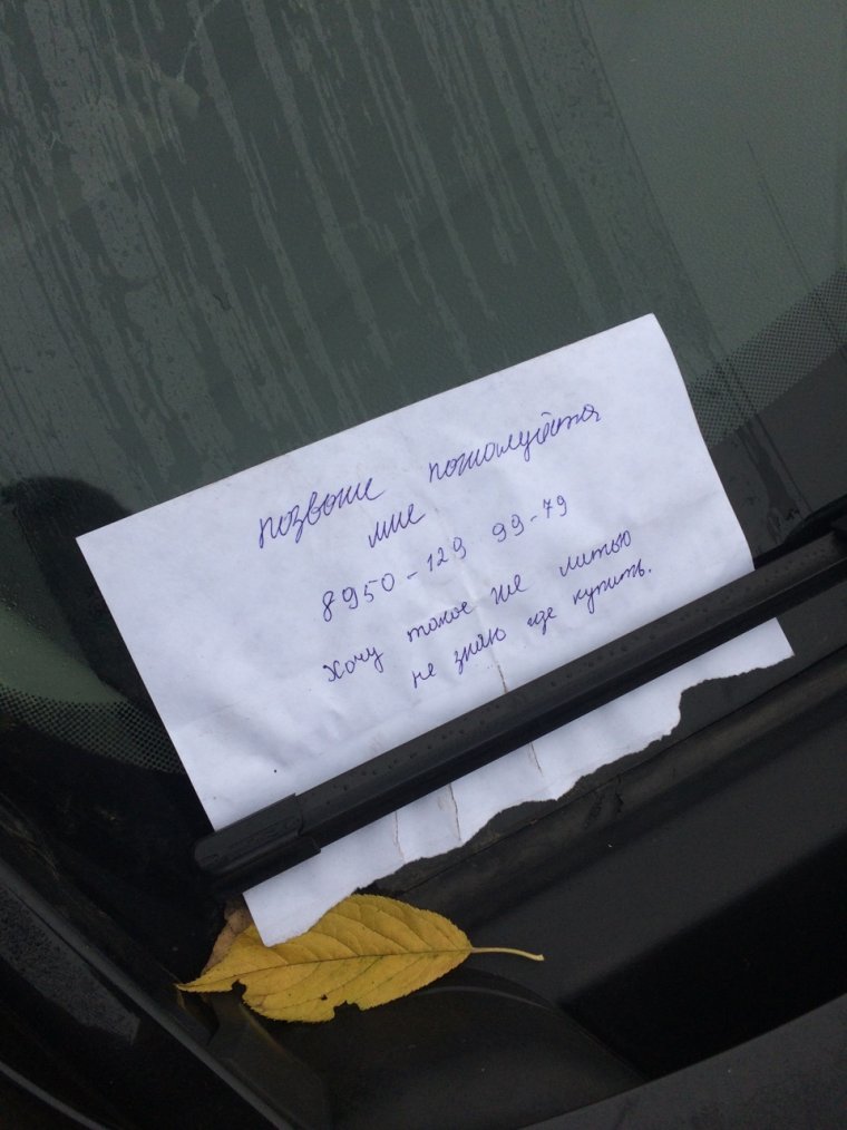 Роза под дворником