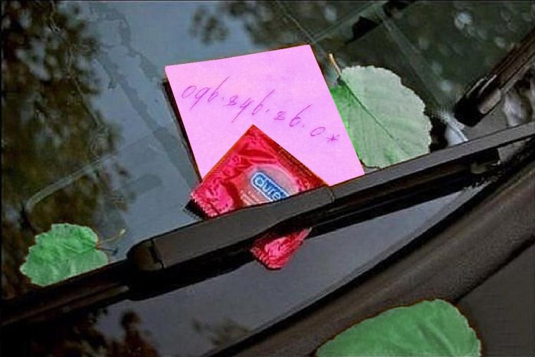 Розы в машине на панели