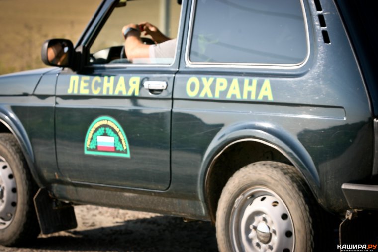 Лесная охрана авто