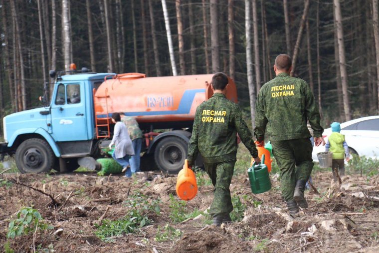 Лесная охрана Подмосковья