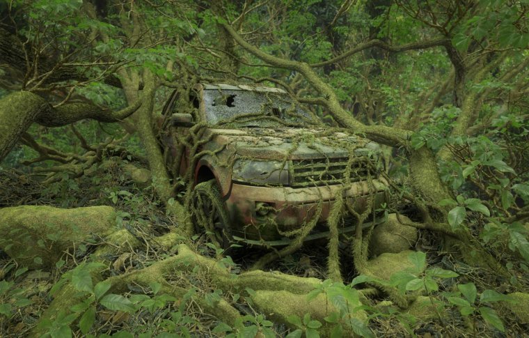 Заброшенные автомобили