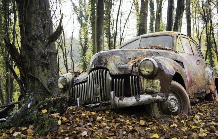 Заброшенные машины в лесу