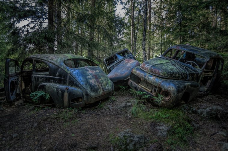 Ржавые машины в лесу