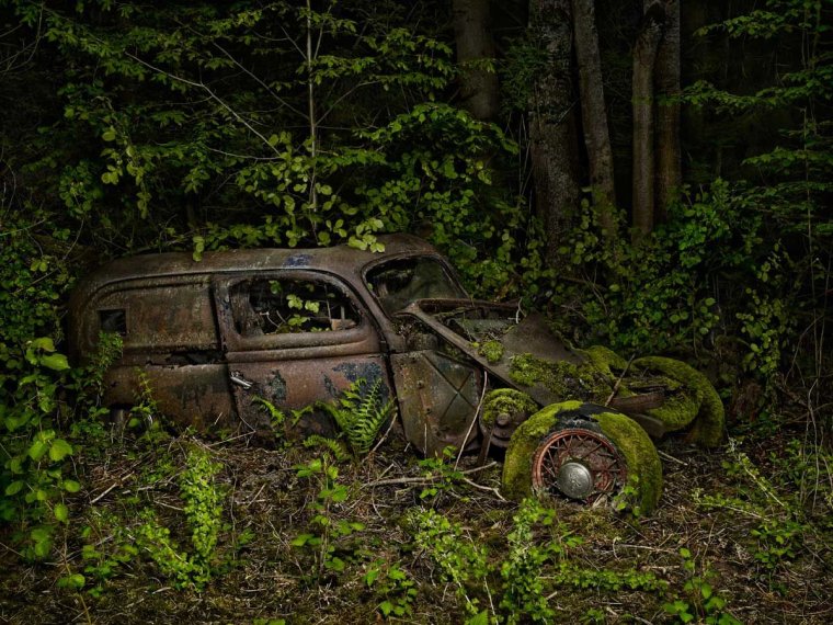 Старые машины в лесу