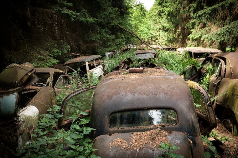 Заросшая машина